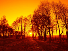 操纵晚上或者周末的碎片时做